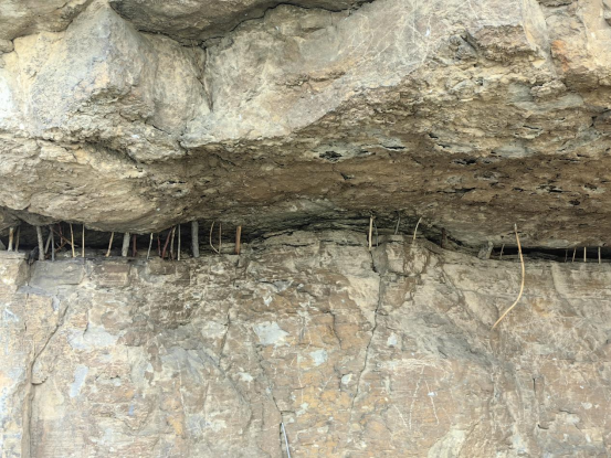 “走遍中国”采风黄河古渡口:赏当然胜景,寻黄河文脉